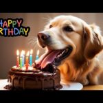 Happy Birthday Song with Cute Dogs | Dog Song | Happy Birthday