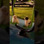 Adorable Dogs Swinging Together: A Heartwarming Moment