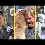 LA Fires: Heartwarming Animal Stories | Celebs Help as Owners Reunite With Lost Pets