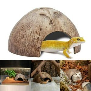 1 Pack Natural Coconut Reptile Hideouts, Lizard, Spider and Aquarium Fish Hide Cave (Smooth Surface)