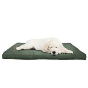 PETMAKER 44×35-Inch Orthopedic Dog Bed with Removable Cover (Green)