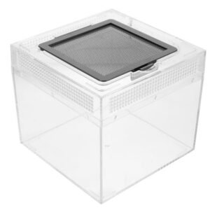 Tarantula Cage Enclosure Reptile Spider Feeding Terrarium Breeding Snake Tank Container Cricket Bowl House
