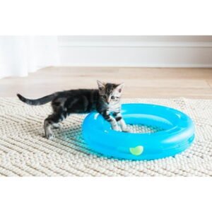 Fat Cat Crazy Circle Cat Toy For Solo or Interactive Play, Large 16.3″ x 3.1″, Blue