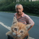 Biker Saves A Cute Kitten Stranded In The Middle Of The Highway