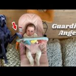 When Your Dog Becomes a Kid's Guardian Angel – Heartwarming & Funny Moments! ❤🐶