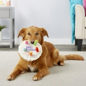 LA TALUS Dog Cake Toy Colorful Candles Bite Resistant Creative Funny Dog Gift Soft Plush Dog Birthday Cake Toy Embroidered Bone Dog Chew Toy Pet Supplies Large