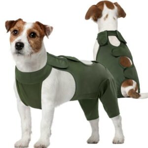 Kuoser Dog Surgery Recovery Suit Thigh Wound Protective Sleeve for Dog Rear Legs, Green, M