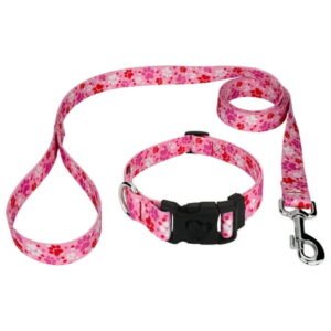 Country Brook Petz® Deluxe Puppy Love Dog Collar and Leash, Extra Large