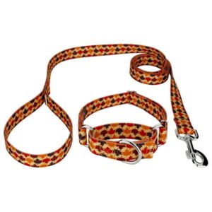 Country Brook Petz® Nature Walk Martingale Dog Collar and Leash, Extra Large
