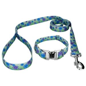 Country Brook Petz® Premium Blue April Blossoms Dog Collar and Leash, Small