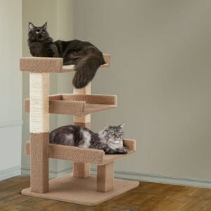 Naomi Home Nala Cat Tree for Large Cats, Cat Activity with Scratching Post, Cat Tower for Large Cats, 3 Level Cat Play Perch, Cat Climbing Tower, Cat Tree for Indoor Cats – Beige
