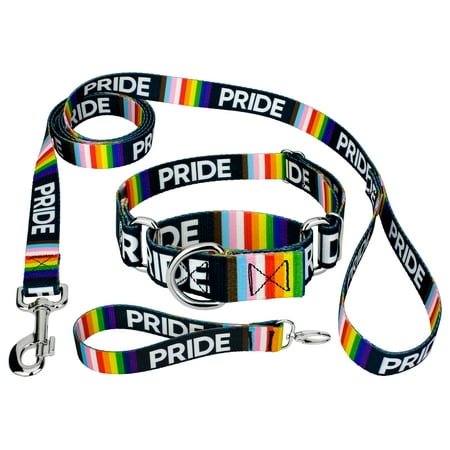 Country Brook Petz® Pride Martingale Dog Collar and Leash, Large