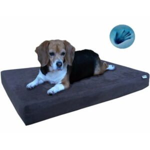 Dogbed4less Memory Foam Pet Bed for Small Medium Large XL Dog & Waterproof Case