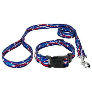 Country Brook Petz® Star Spangled Deluxe Dog Collar and Leash, Extra Large
