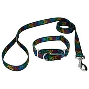 Country Brook Petz® Celtic Pride Martingale Dog Collar and Leash, Large