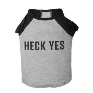 Vibrant Life Gray Heck Yes Raglan Pull over Tee Shirt for Dogs, Medium