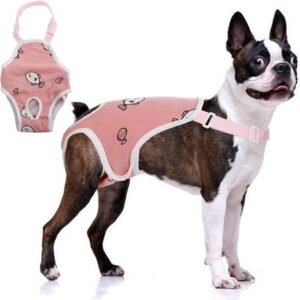 All Dog Potty Training