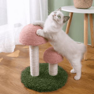 On Sale – 8 Side Twin Mushroom Cat Climbing Frame Tree – Pink 1-Level 13 inch, Beautiful Decor at Home