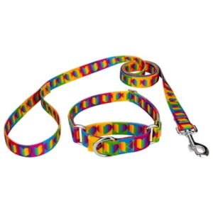 Country Brook Petz® Rainbow Hearts Martingale Dog Collar and Leash, Large