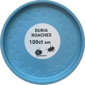Small Dubia Roaches – 100ct – Organic