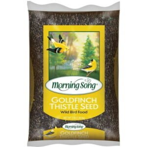 Morning Song 3 Lb. Nyjer Seed Wild Goldfinch Food 12000