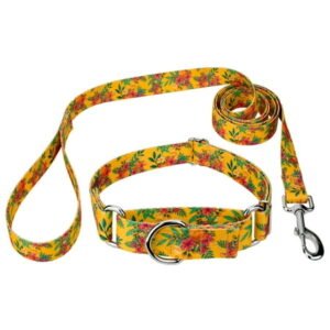 Country Brook Petz® Tropical Floral Martingale Dog Collar and Leash, Large