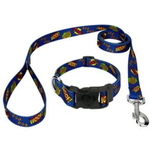 Country Brook Petz® Deluxe Blue Super Dog Collar and Leash, Extra Large