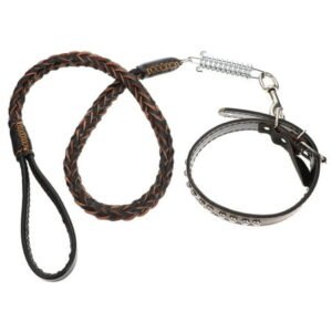 Jibingyi 1 Set of Medium Size Dog Leash Outdoor Pet Walking Rope Leather Large Dog Collar