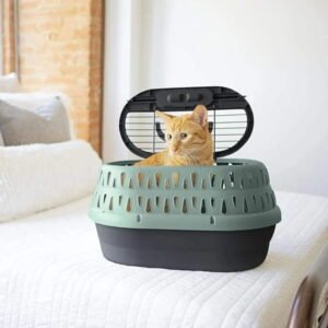 Petmate Two Door Top Load Cat Kennel Pet Carrier, Small 19″ for Pets up to 10 lb, Green