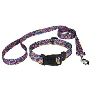 Country Brook Petz® Blue Boho Mandala Deluxe Dog Collar and Leash, Extra Large