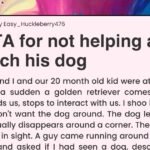 Dog Owner Gets Shocked When Redditor Refused To Help Him Catch His Dog And Chose To Stay With His Baby