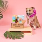 13 Things to Do with Dogs this Summer