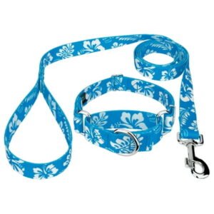 Country Brook Petz® Blue Hawaiian Martingale Dog Collar and Leash, 3XS