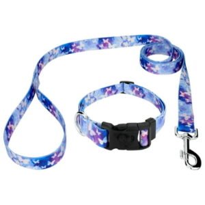 Country Brook Petz® Watercolor Butterflies Deluxe Dog Collar and Leash, Extra Small