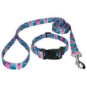 Country Brook Petz® Albuquerque Deluxe Dog Collar and Leash, Medium