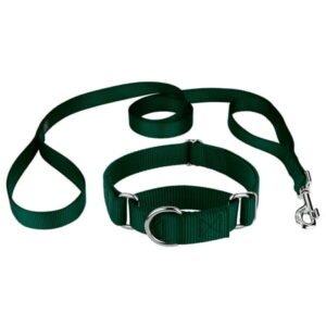 Country Brook Design® Martingale Nylon Dog Collar & Double Handle Leash – Green – Small