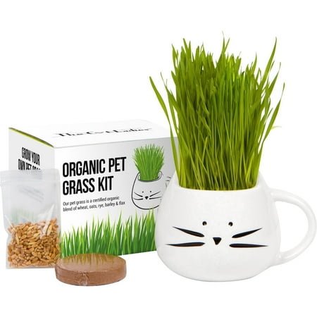 The Cat Ladies Organic Cat Grass Kit – Natural Hairball Control, 1 Pack