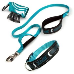 XTRM Dog Leash Collar Set – Heavy Duty Patented Lock, Padded Collar Polyester Long Dog Leashes with Reflective Sports Grip Handle, Dog Poop Dispenser for Small Medium Large Dogs – S,Emerald Green