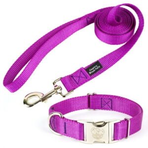 Country Brook Petz® Premium Nylon Dog Collar and Leash Set for Small Medium Large Dogs (Extra Large, 1 Inch, Bright Purple)