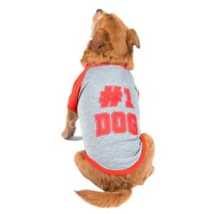The Dodo: Retro #1 Dog T-Shirt x-Small