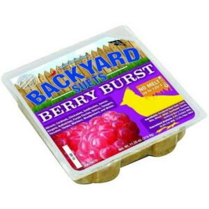 Backyard Seeds Berry Burst Suet Cake 12 Pack