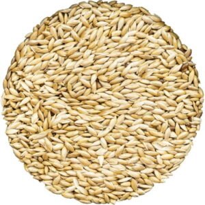 Unida Alpiste Canary Seeds for Birds – 5 lbs, 100% Natural, Non-GMO, No Additives, Bulk Wild Bird Feed
