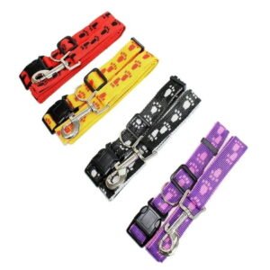 SET Dog COLLAR and LEASH Adjustable Training Nylon PURPLE sz S/M (neck 12″ – 18″)