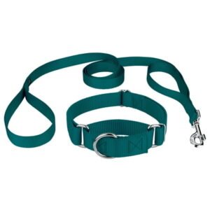 Country Brook Design® Martingale Heavyduty Nylon Dog Collar and Double Handle Leash – Teal – Medium