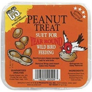 C&S CS12509 11.75 Oz Peanut Treat Suet24