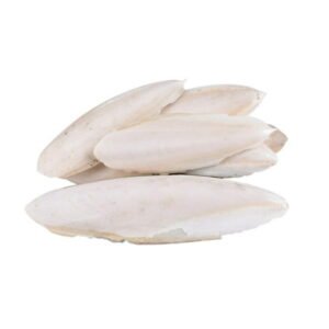 jileijar 1 Bag Cuttlebone Cuttlefish Bone Sepia Cuttle Fish Food Bird Pickstone