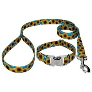 Country Brook Petz® Premium Sunflowers Dog Collar and Leash, Large