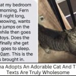 Grandmother Adopts A Cat And Updates About It Through Texts And We’re All Here For It