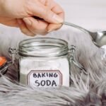 Tips To Keep Your Home Smelling Clean as a Dog Owner