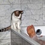 Why Does My Cat Lick My Toes? (7 Reasons)